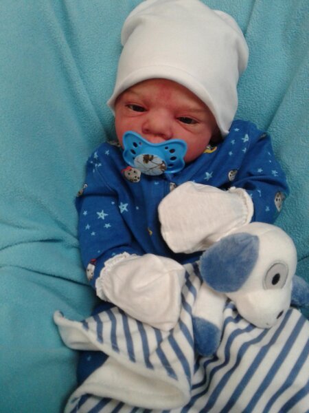 It's a boy - Image 8