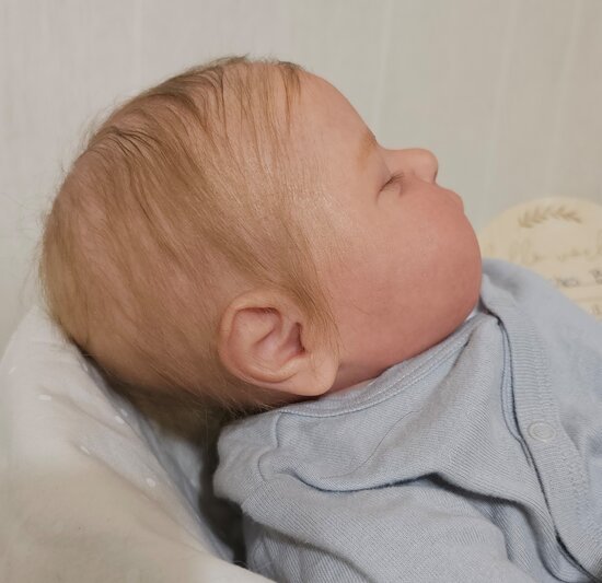 It's a boy - Image 15