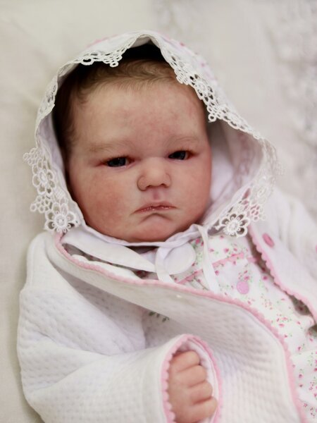 Landon - Image 5