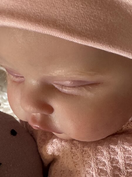 Quinbee - Image 13