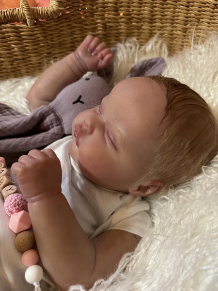 Quinbee - Image 7